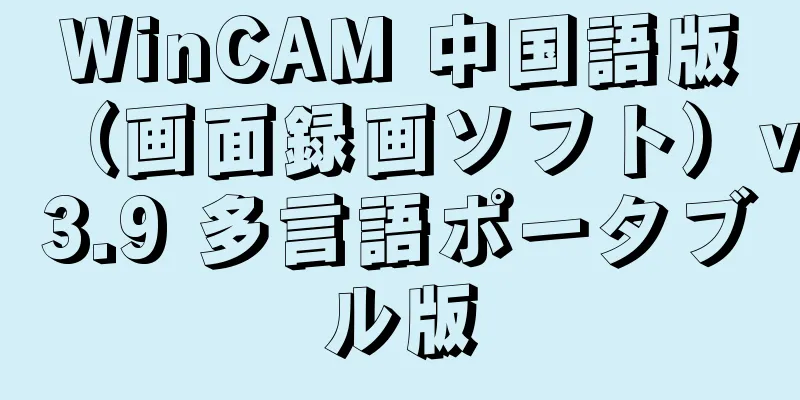 WinCAM 中国語版（画面録画ソフト）v3.9 多言語ポータブル版