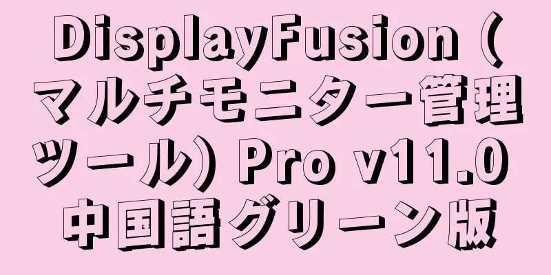 DisplayFusion (マルチモニター管理ツール) Pro v11.0 中国語グリーン版