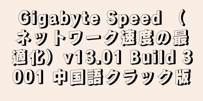Gigabyte Speed （ネットワーク速度の最適化）v13.01 Build 3001 中国語クラック版