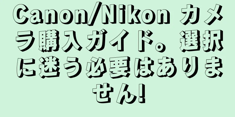 Canon/Nikon カメラ購入ガイド。選択に迷う必要はありません!